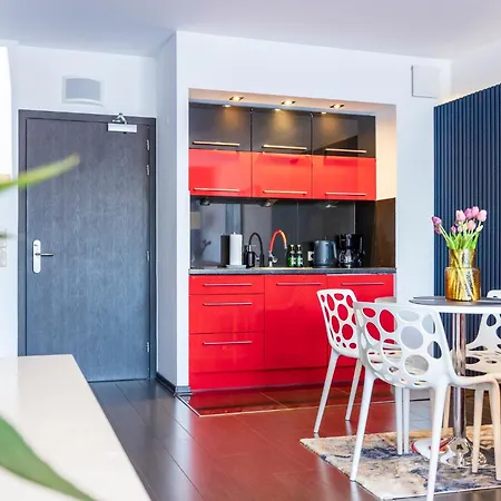 Diva Surfingbird Kolobřeh